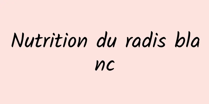 Nutrition du radis blanc