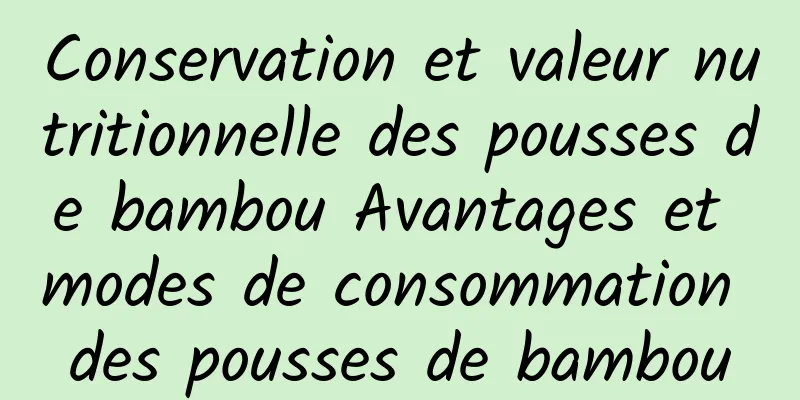 Conservation et valeur nutritionnelle des pousses de bambou Avantages et modes de consommation des pousses de bambou