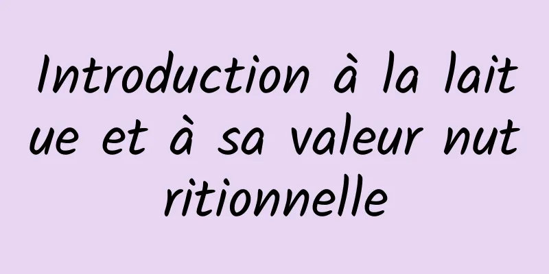 Introduction à la laitue et à sa valeur nutritionnelle