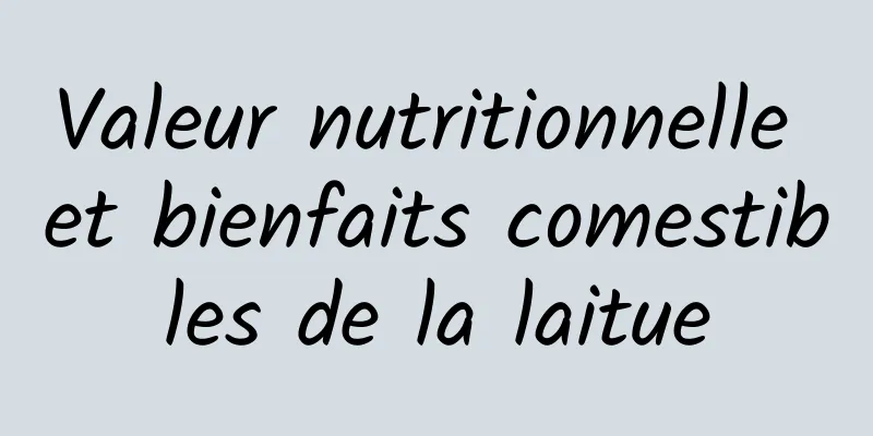 Valeur nutritionnelle et bienfaits comestibles de la laitue