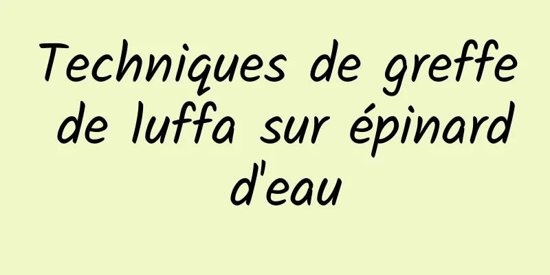 Techniques de greffe de luffa sur épinard d'eau