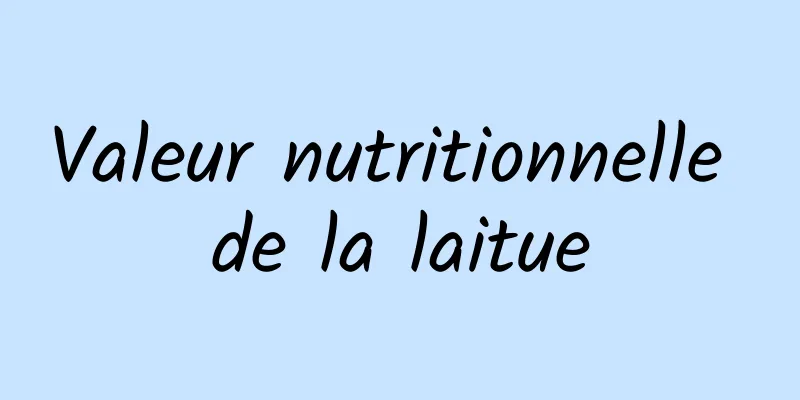 Valeur nutritionnelle de la laitue