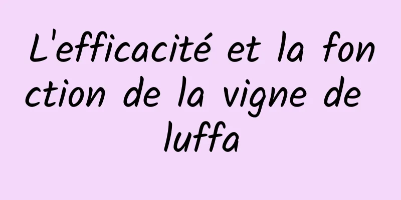 L'efficacité et la fonction de la vigne de luffa