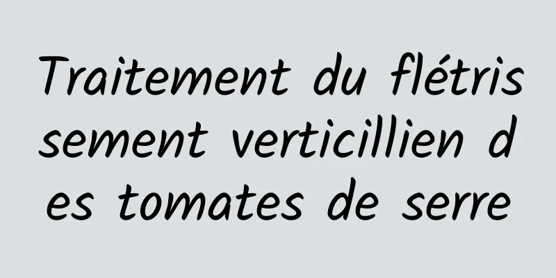 Traitement du flétrissement verticillien des tomates de serre