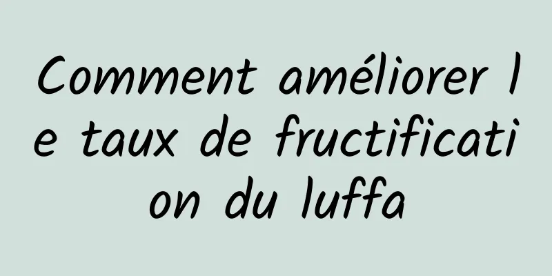 Comment améliorer le taux de fructification du luffa