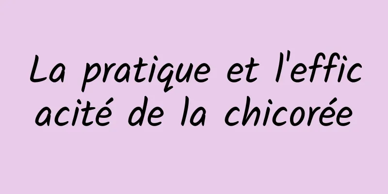 La pratique et l'efficacité de la chicorée