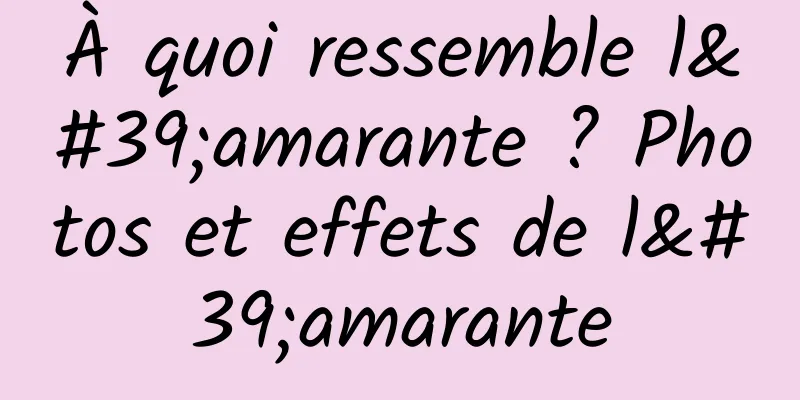 À quoi ressemble l'amarante ? Photos et effets de l'amarante