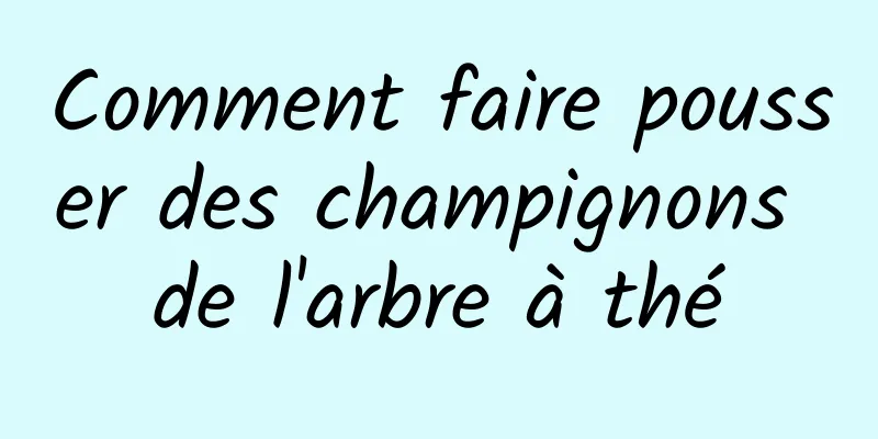 Comment faire pousser des champignons de l'arbre à thé