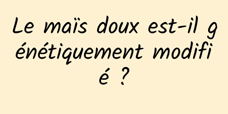 Le maïs doux est-il génétiquement modifié ?