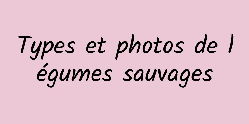 Types et photos de légumes sauvages