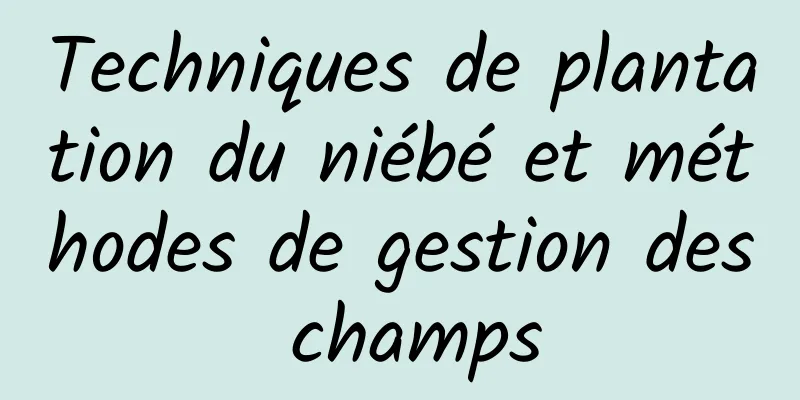 Techniques de plantation du niébé et méthodes de gestion des champs