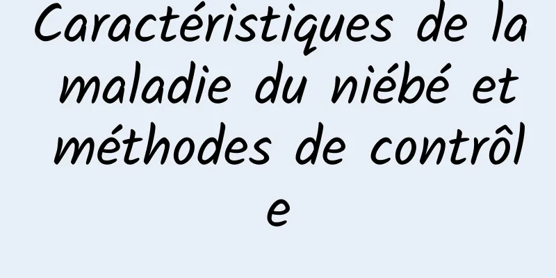 Caractéristiques de la maladie du niébé et méthodes de contrôle