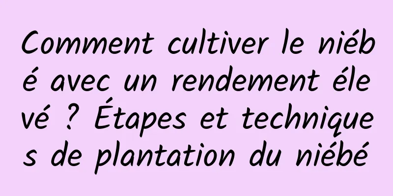 Comment cultiver le niébé avec un rendement élevé ? Étapes et techniques de plantation du niébé