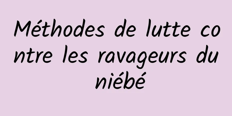 Méthodes de lutte contre les ravageurs du niébé