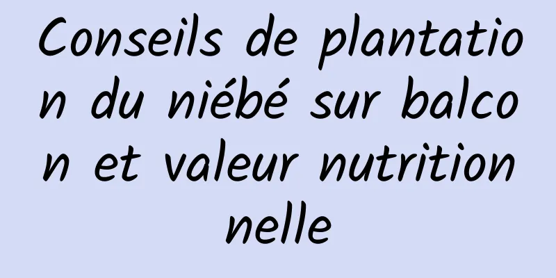 Conseils de plantation du niébé sur balcon et valeur nutritionnelle