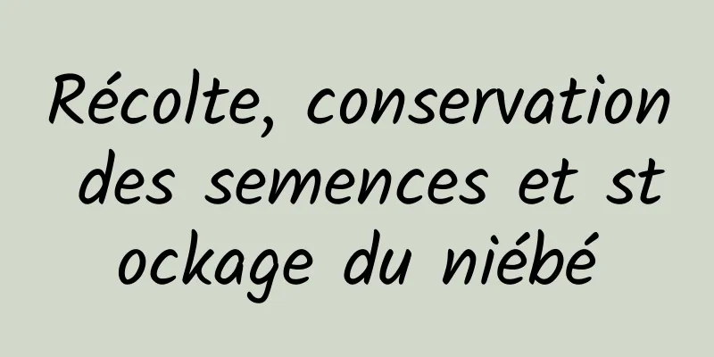 Récolte, conservation des semences et stockage du niébé