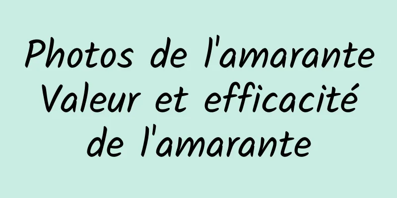 Photos de l'amarante Valeur et efficacité de l'amarante