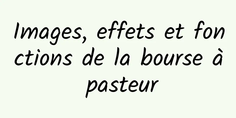 Images, effets et fonctions de la bourse à pasteur