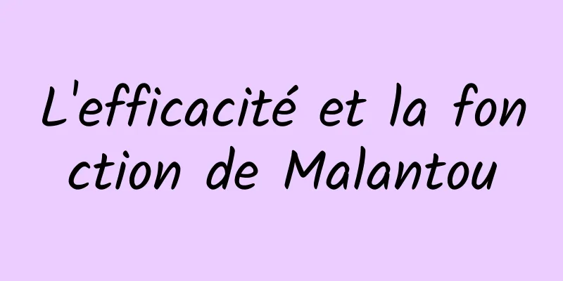 L'efficacité et la fonction de Malantou