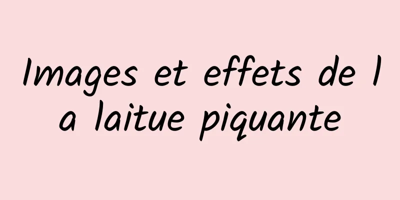 Images et effets de la laitue piquante