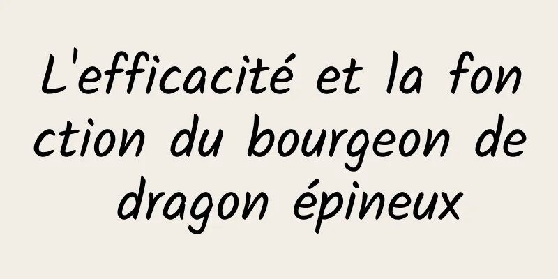 L'efficacité et la fonction du bourgeon de dragon épineux