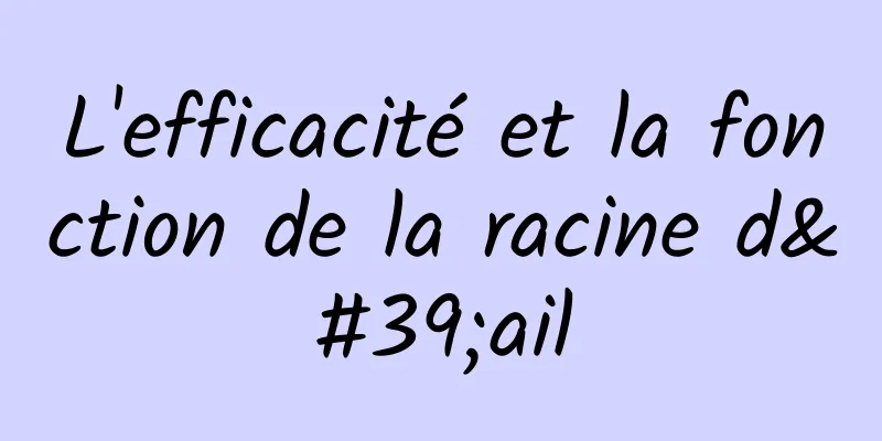 L'efficacité et la fonction de la racine d'ail