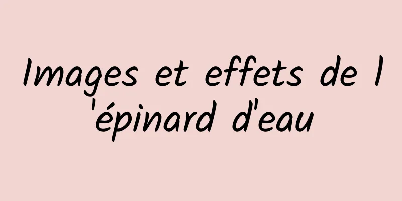 Images et effets de l'épinard d'eau