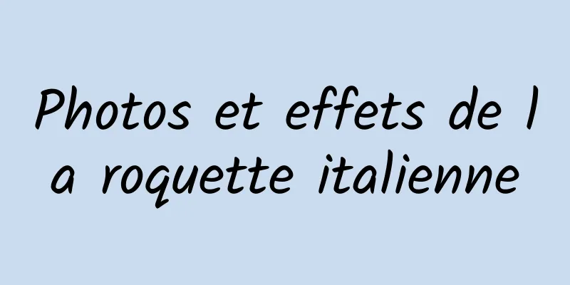 Photos et effets de la roquette italienne