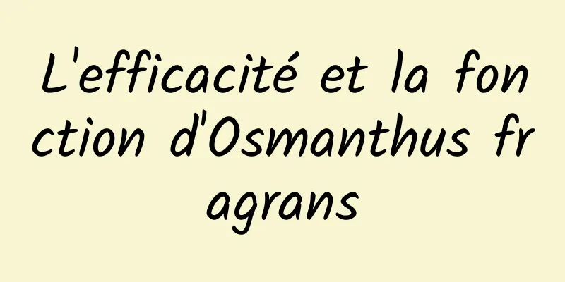 L'efficacité et la fonction d'Osmanthus fragrans