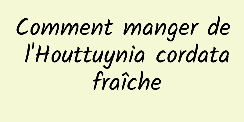 Comment manger de l'Houttuynia cordata fraîche