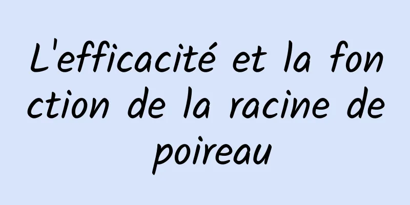 L'efficacité et la fonction de la racine de poireau