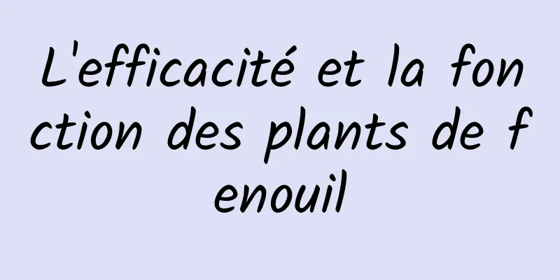 L'efficacité et la fonction des plants de fenouil