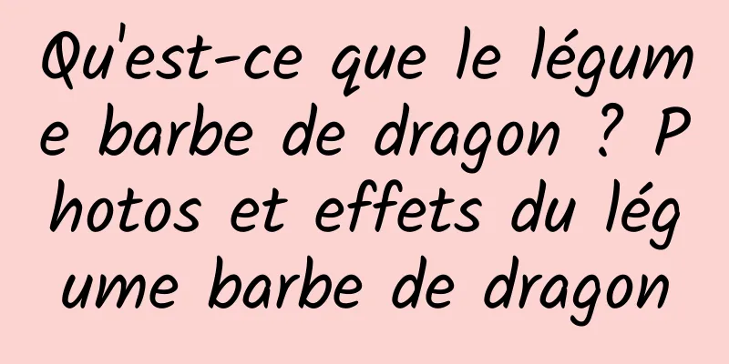 Qu'est-ce que le légume barbe de dragon ? Photos et effets du légume barbe de dragon