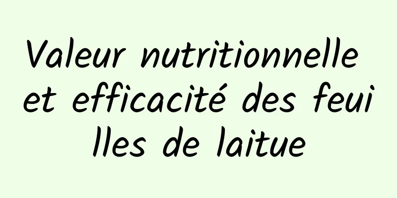 Valeur nutritionnelle et efficacité des feuilles de laitue