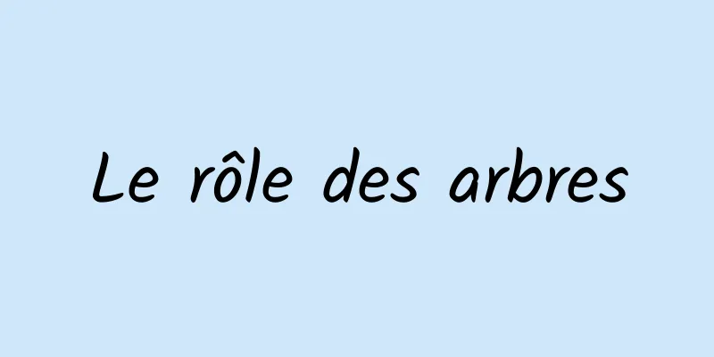 Le rôle des arbres