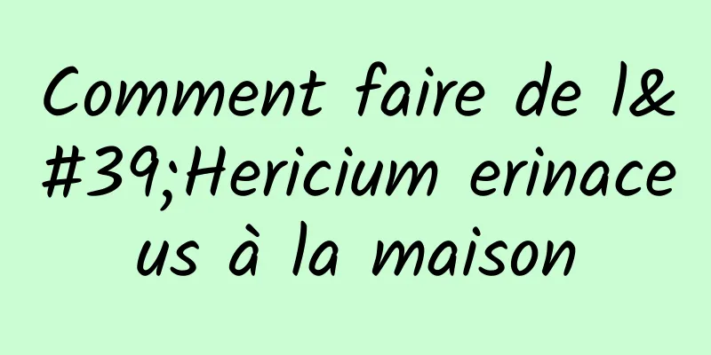 Comment faire de l'Hericium erinaceus à la maison