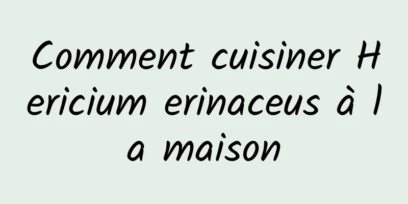 Comment cuisiner Hericium erinaceus à la maison