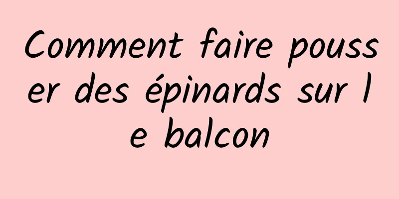 Comment faire pousser des épinards sur le balcon