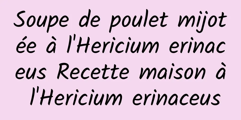 Soupe de poulet mijotée à l'Hericium erinaceus Recette maison à l'Hericium erinaceus