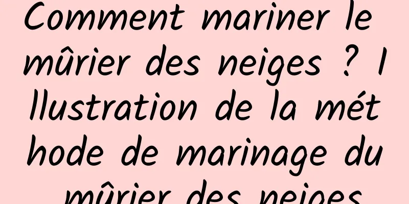 Comment mariner le mûrier des neiges ? Illustration de la méthode de marinage du mûrier des neiges