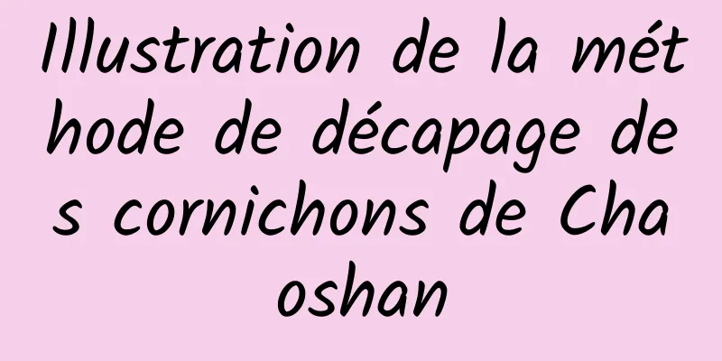 Illustration de la méthode de décapage des cornichons de Chaoshan