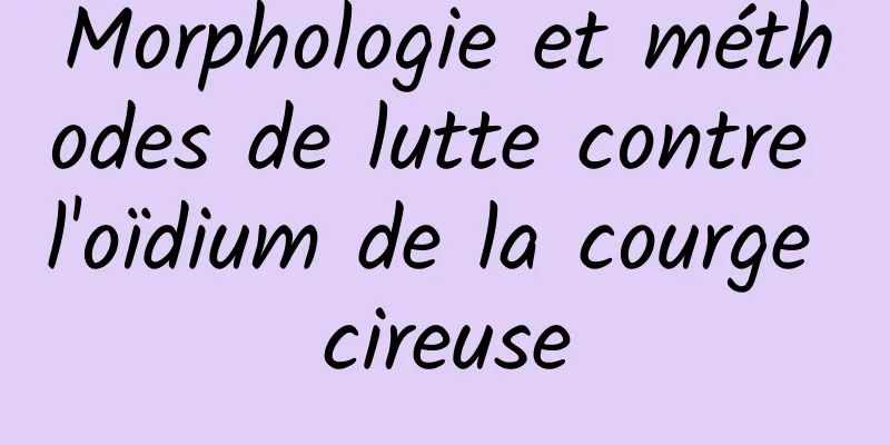 Morphologie et méthodes de lutte contre l'oïdium de la courge cireuse