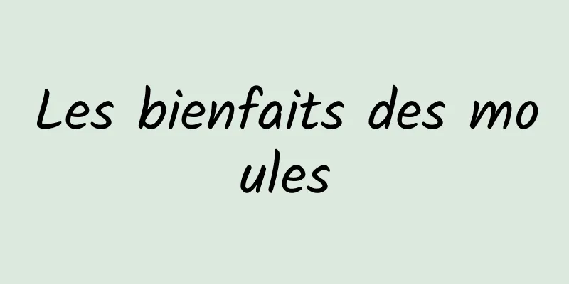 Les bienfaits des moules