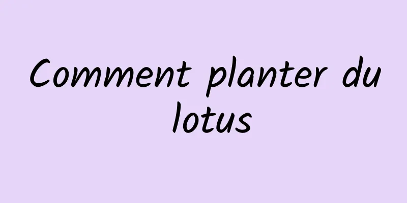 Comment planter du lotus