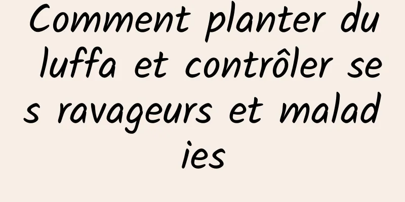 Comment planter du luffa et contrôler ses ravageurs et maladies