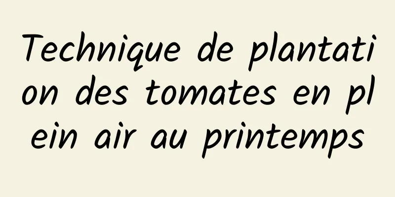 Technique de plantation des tomates en plein air au printemps