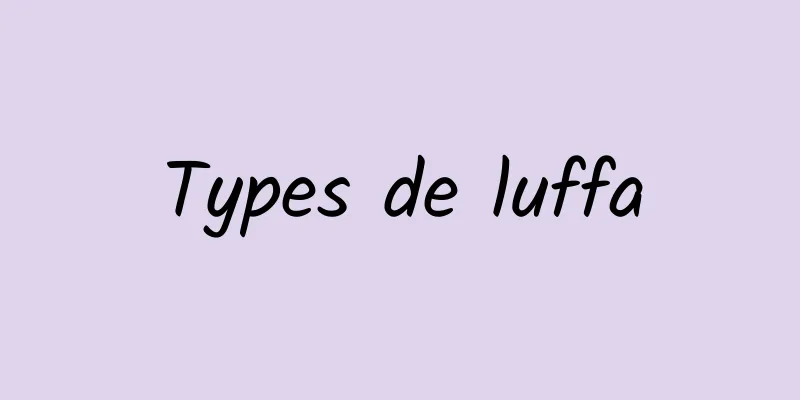 Types de luffa