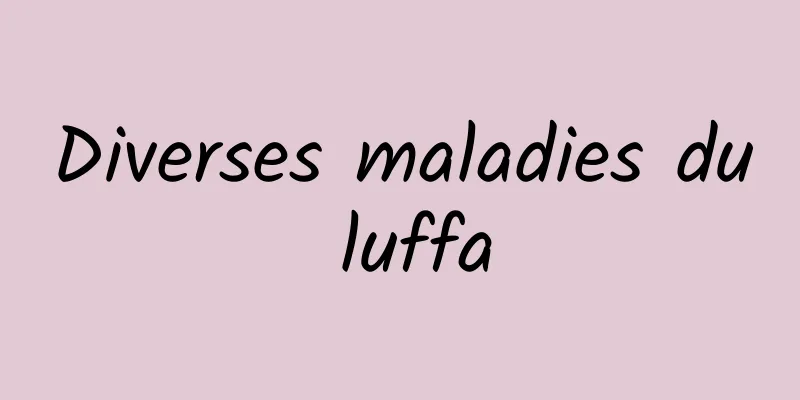 Diverses maladies du luffa