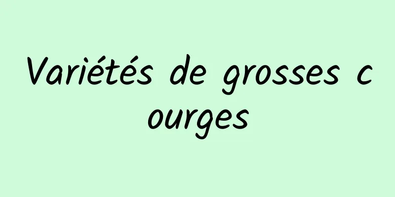 Variétés de grosses courges