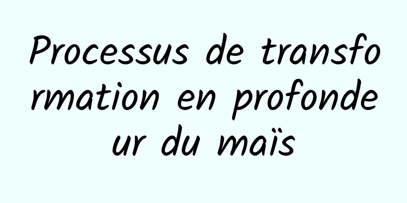 Processus de transformation en profondeur du maïs